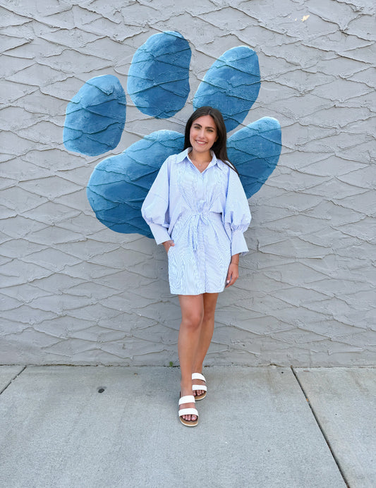 Puffed Sleeve Striped Mini Poplin Dress