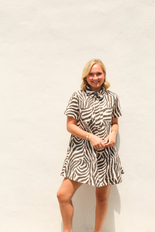 Zebra Striped Dress