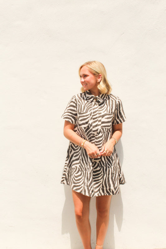 Zebra Striped Dress
