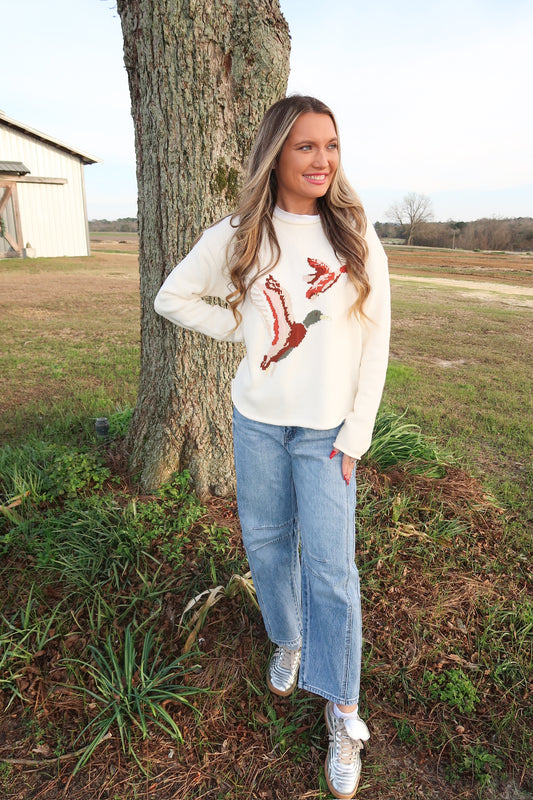Flying Ducks Sweater