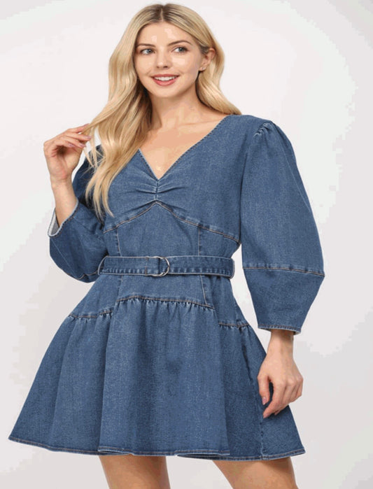 Dolly Denim Dress
