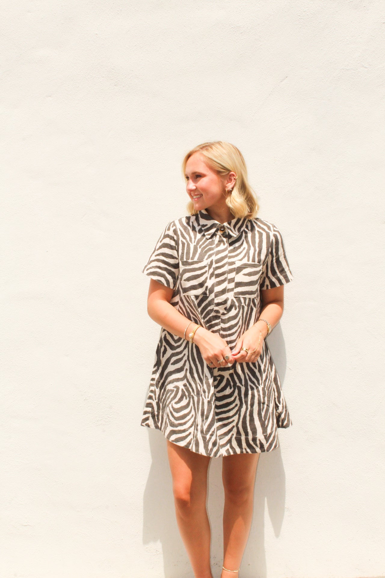 Zebra Striped Dress